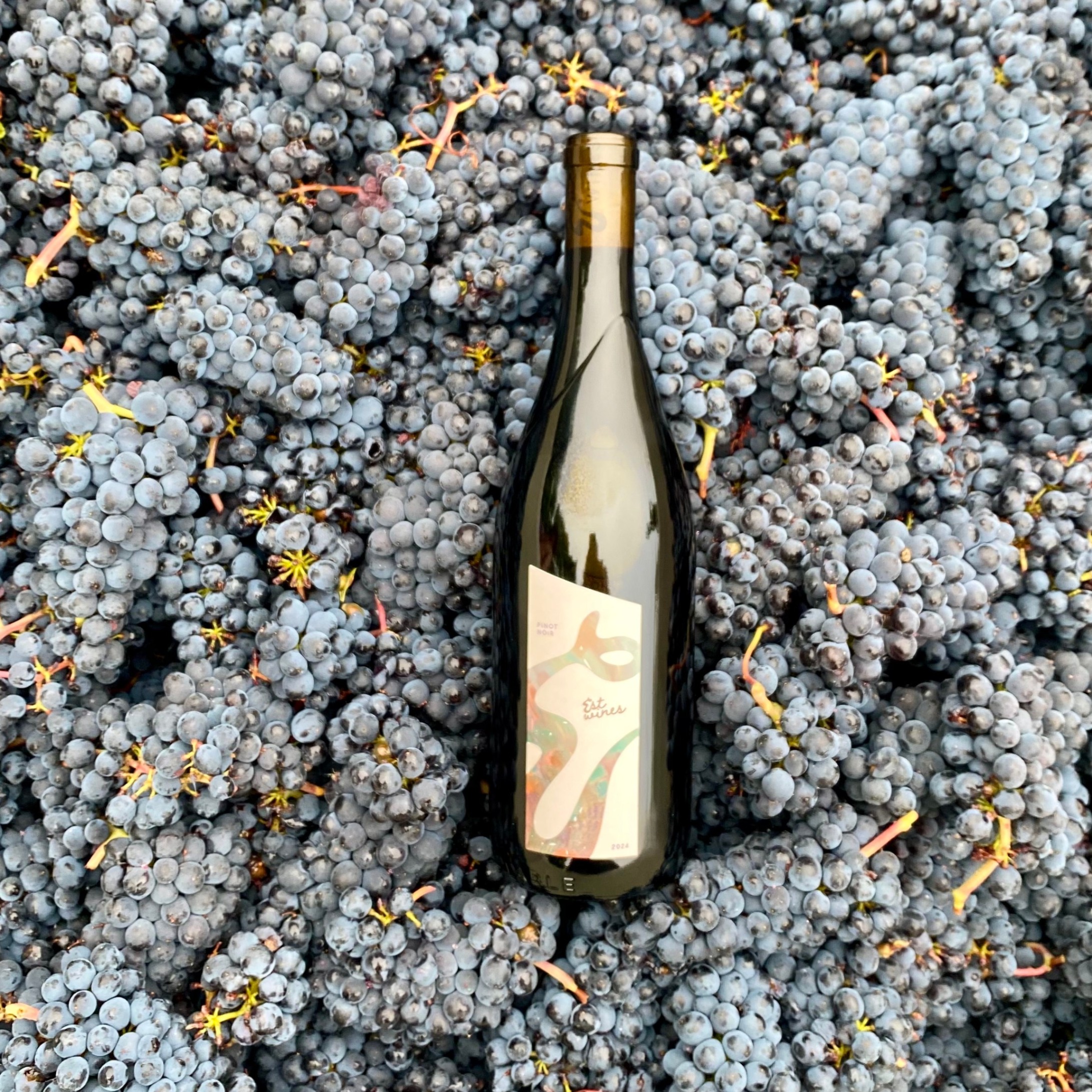 Event Photo: Oregon Arts and Agriculture Market