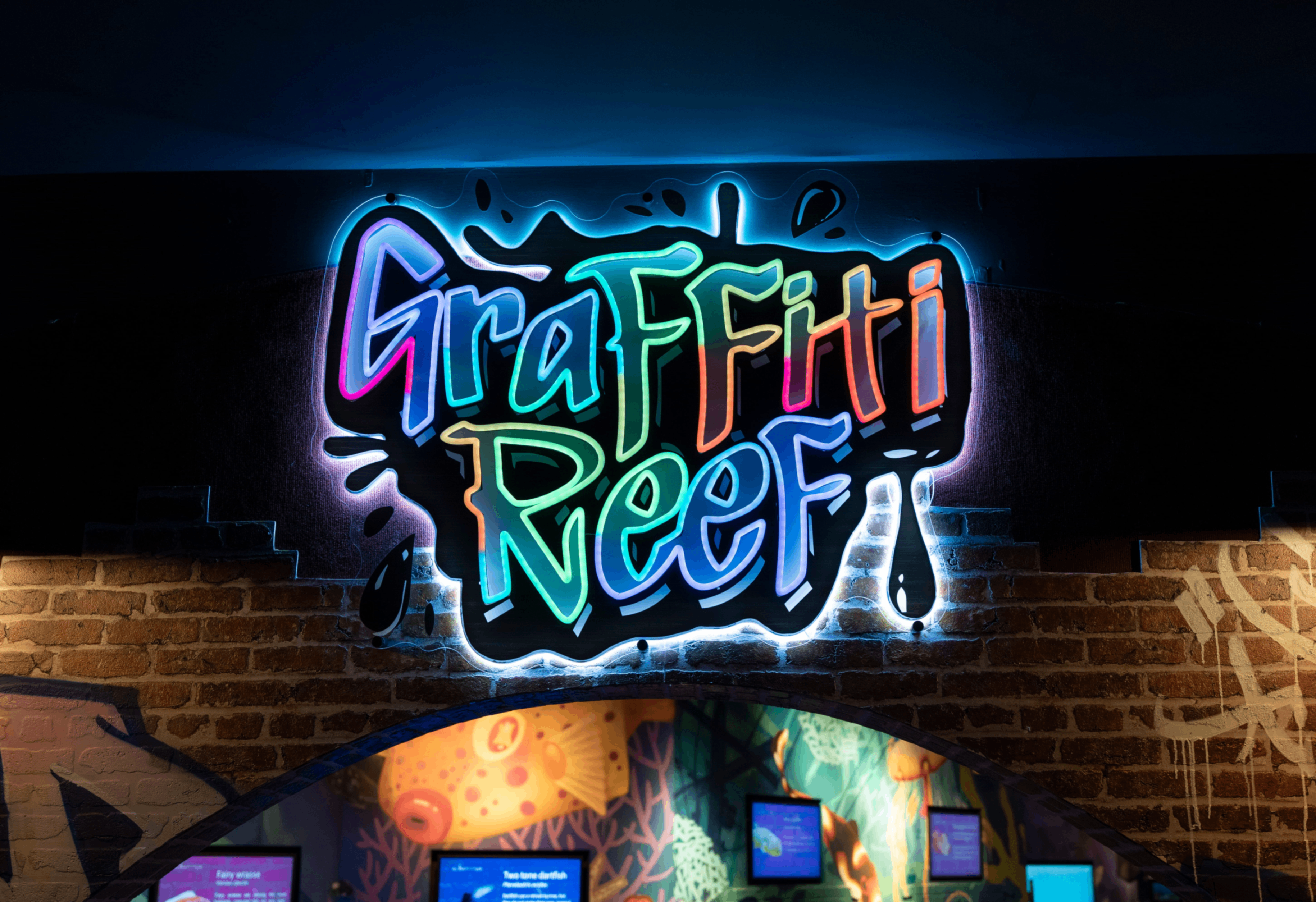 Graffiti Reef at Ripley’s Aquarium of Canada