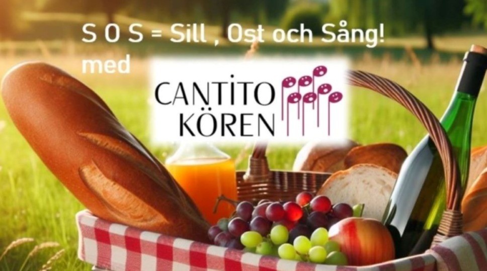 w-968h-539-fd1385-Korg.Cantito.16x19.973x504.JPG