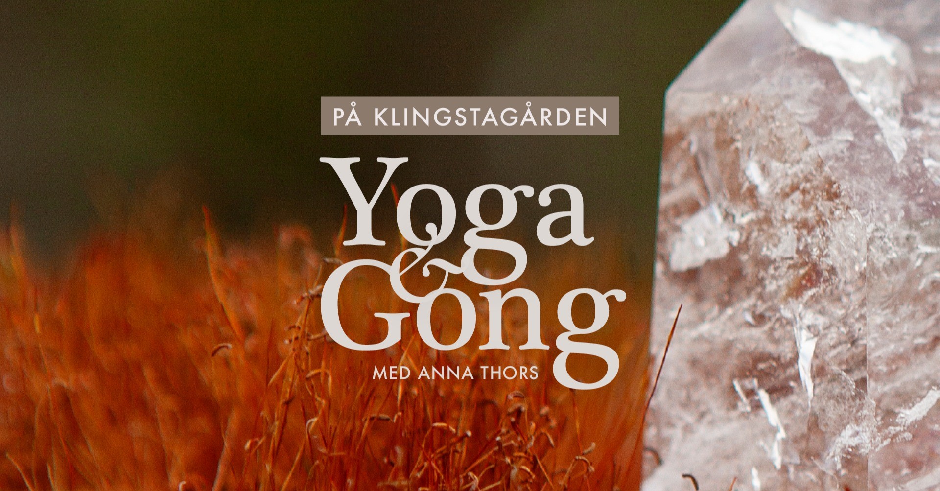 w-1920h-1003-7c5a60-1920x1005 Yoga & Gong på KG.png