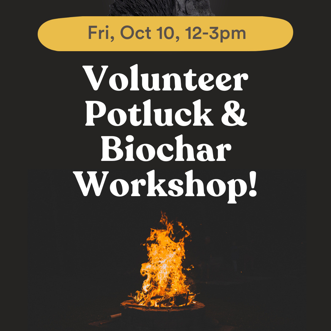 Event Photo: Volunteer Potluck and Biochar Workshop 