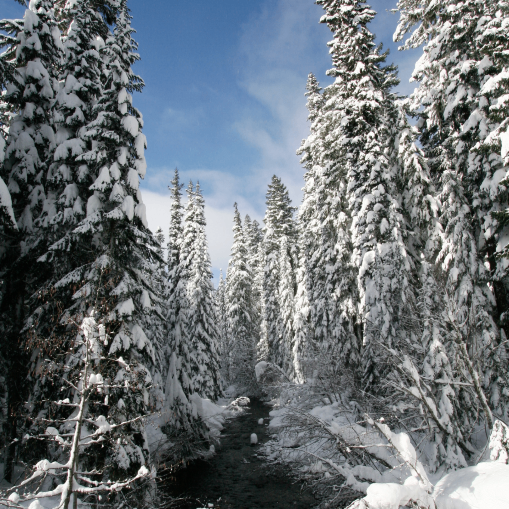 Event Photo: Reverence and Remembrance Sauna Retreat 