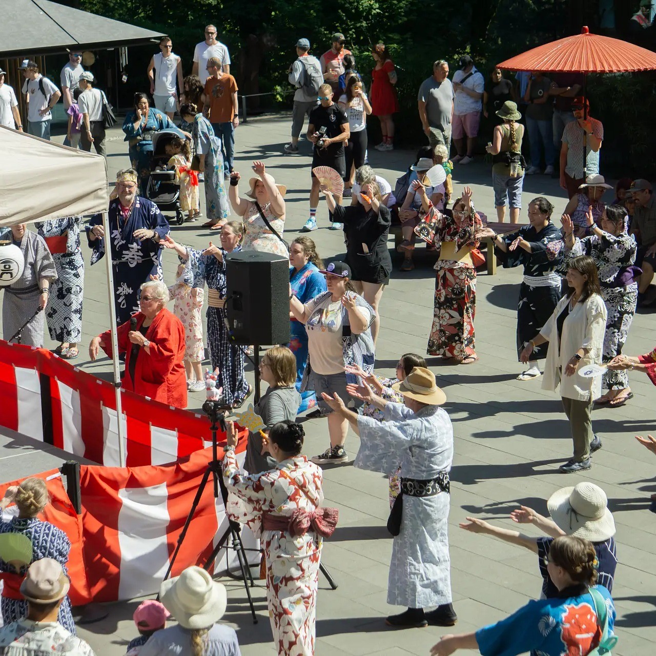 a crowd of people dancing