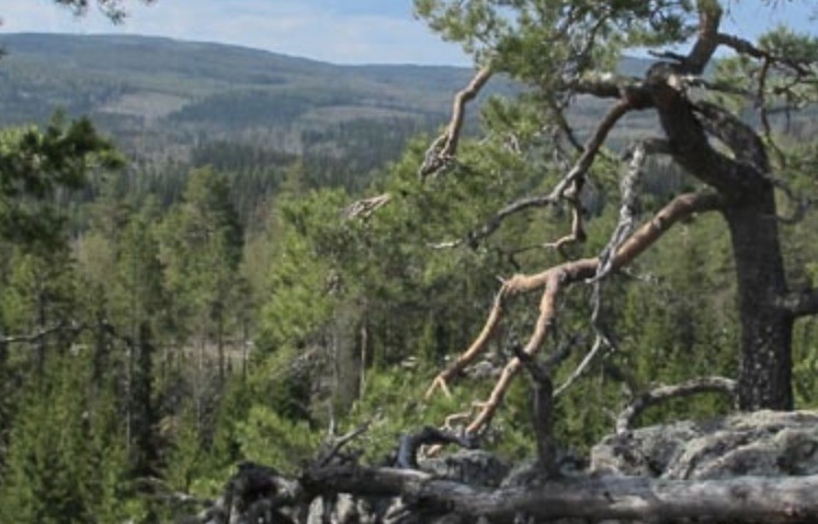 w-746h-478-0420aa-Skärmavbild 2025-06-10 kl. 14.48.14.png