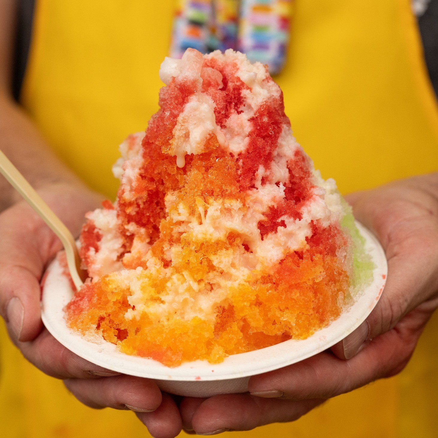 a bowl of traditional Japanese shaved ice