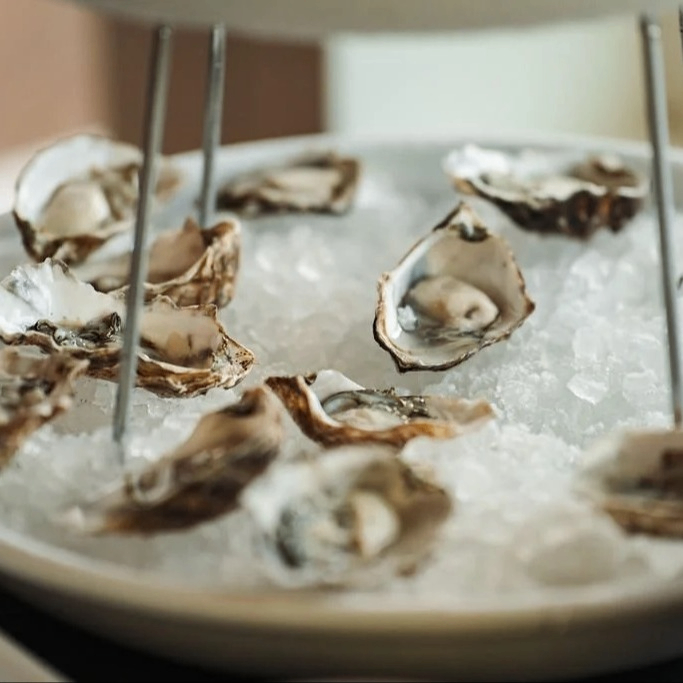 Event Photo: Oregon Oyster Festival (OOF)