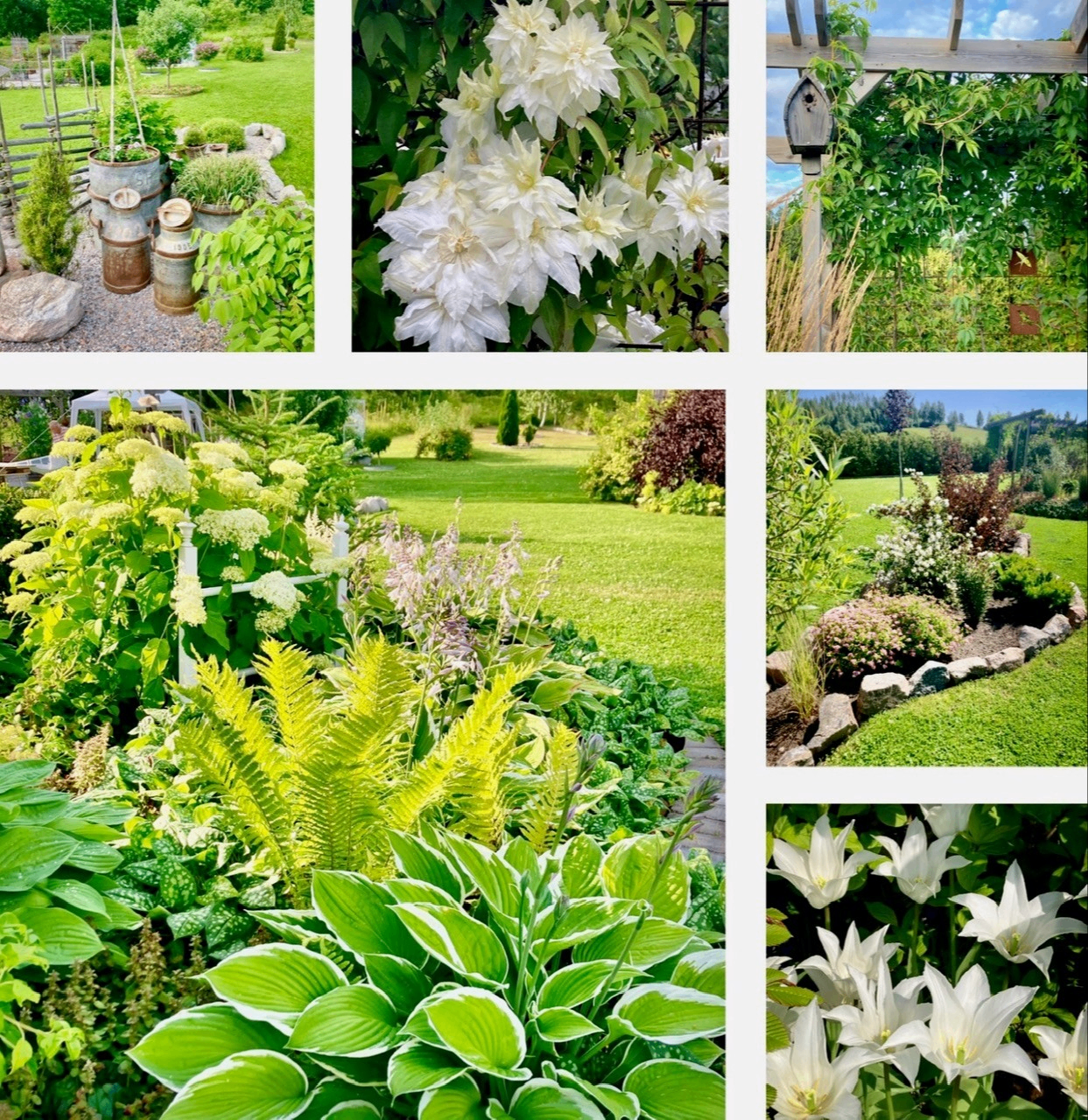 w-1243h-1280-a955d9-Svalboet Trädgård.jpg