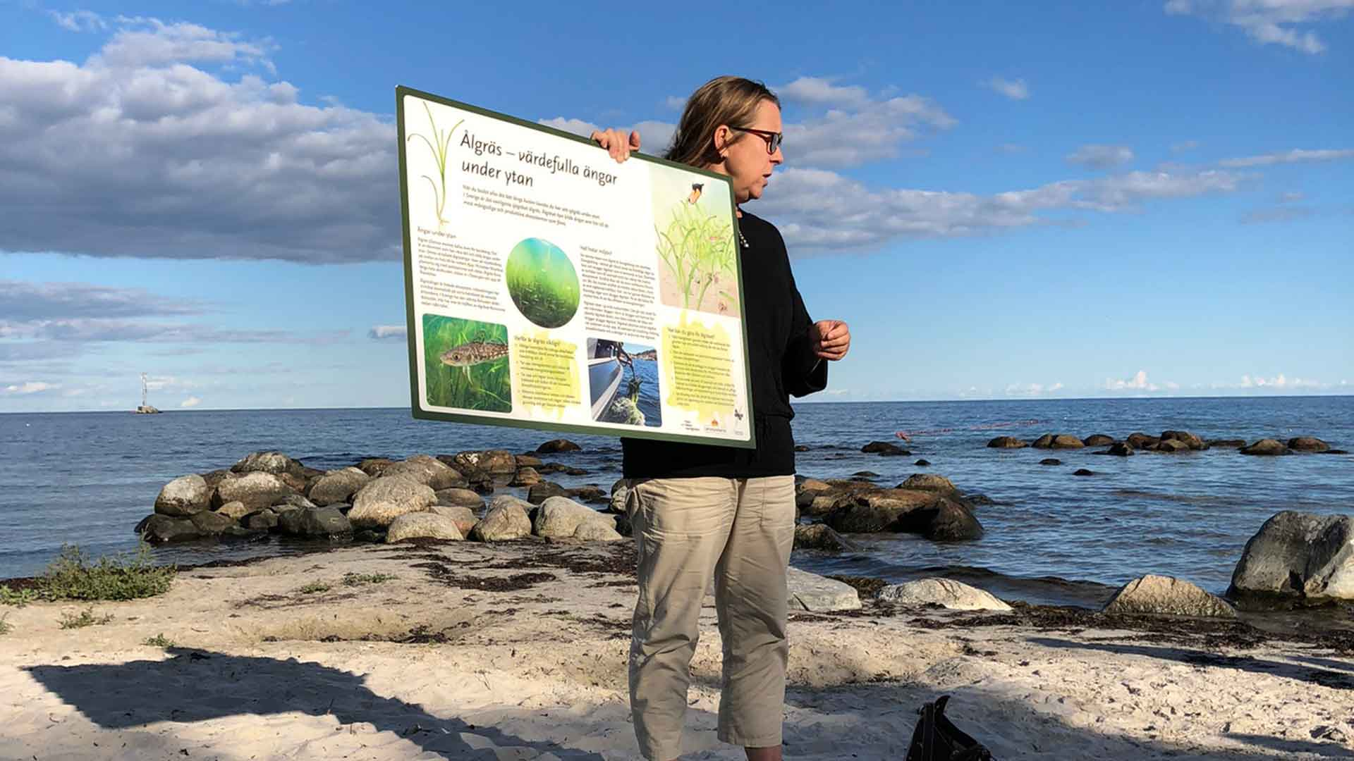 Evenemangs bild för evenemang Strandromenad längs kusten