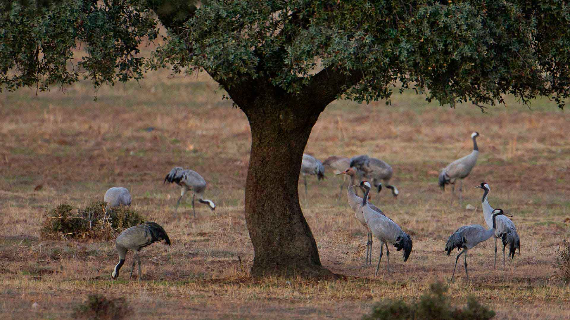 Evenemangs bild för evenemang Från Vattenriket till vinterkvarteren
