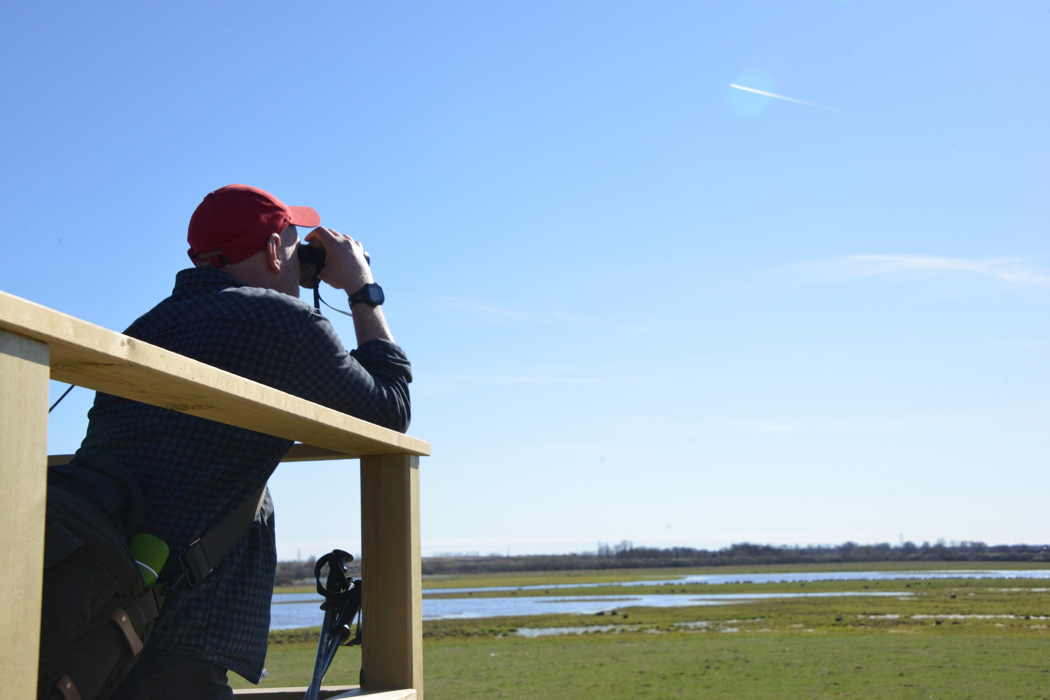 Evenemangs bild för evenemang Vårvandring runt Linnérundan