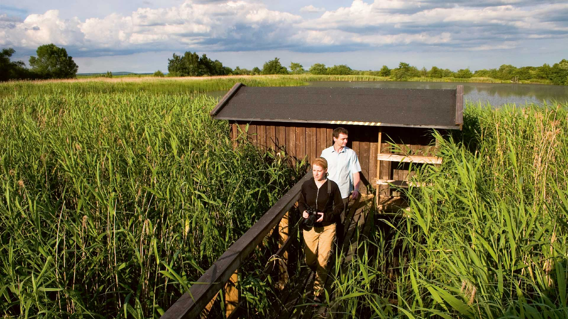 Evenemangs bild för evenemang Fågelspaning vid Karpalund