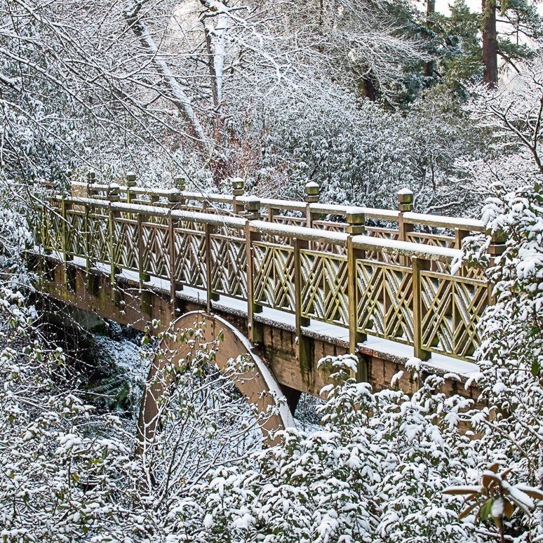 Event Photo: Crystal Springs Holiday Market