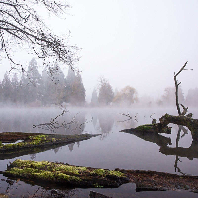 Event Photo: Crystal Springs Holiday Market