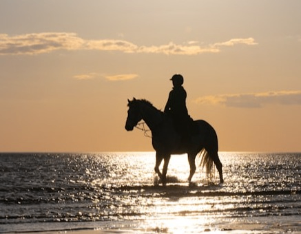 Evenemangs bild för evenemang Ponnyridning på Kristianstad Ridklubb