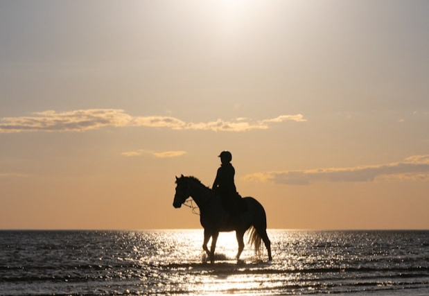 Evenemangs bild för evenemang Ponnyridning på Kristianstad Ridklubb
