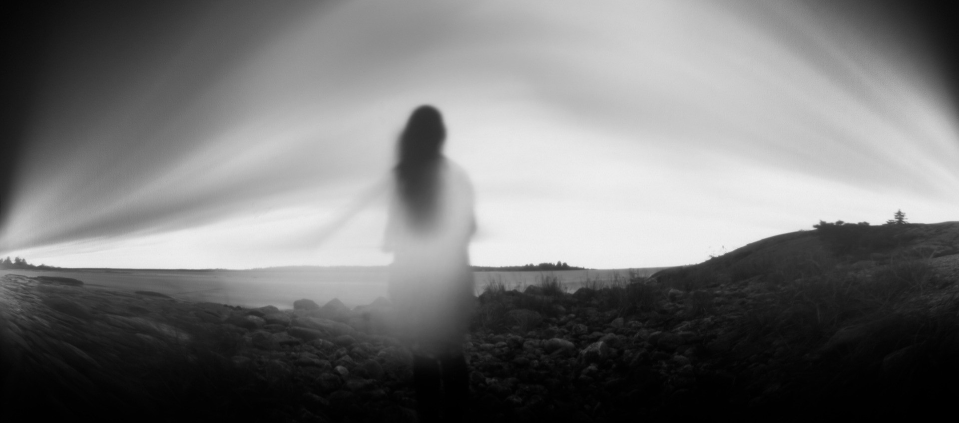 w-1920h-848-39a7c6-Erica von Essen metamorphosis.jpg