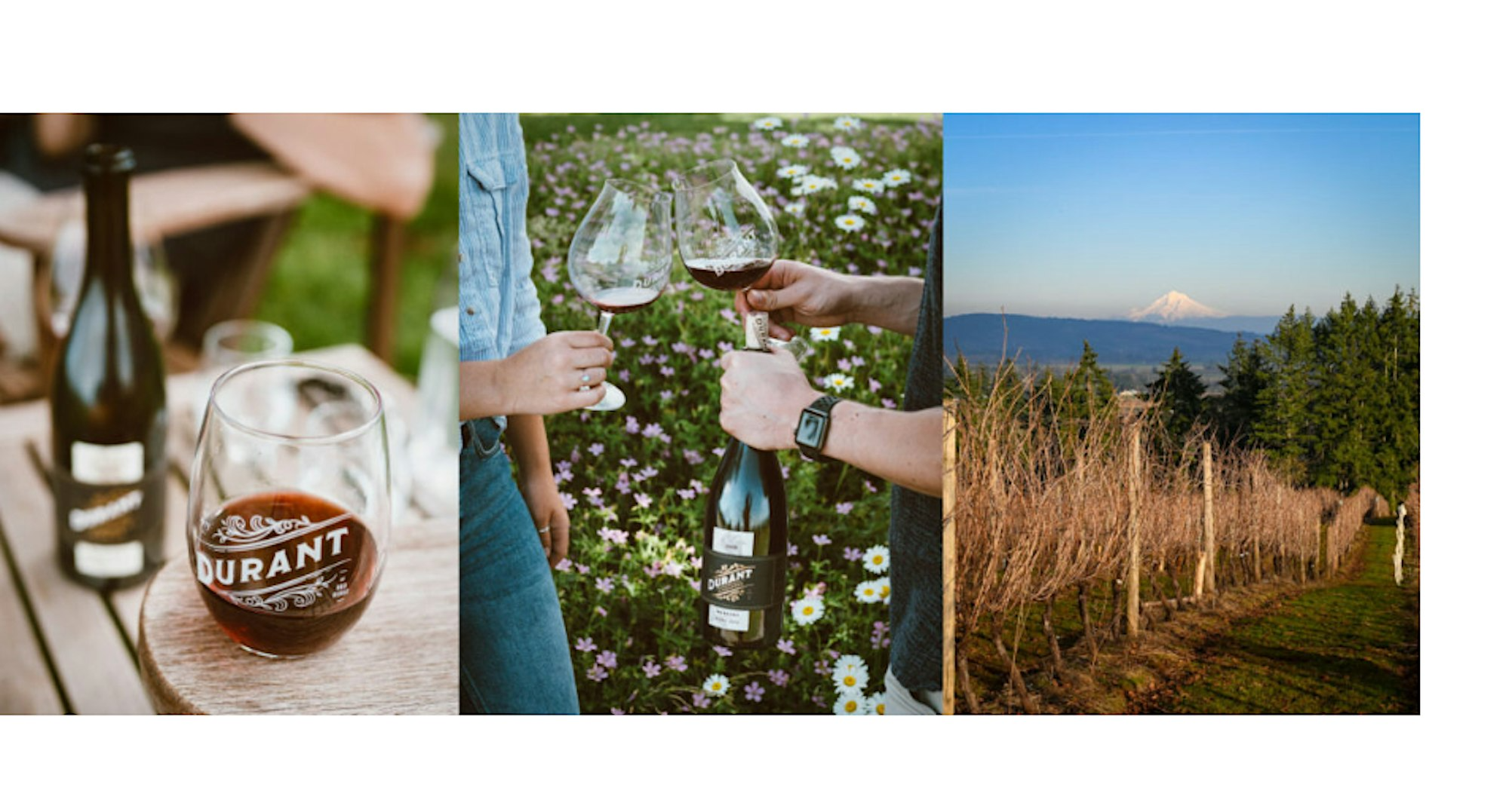 Event Photo: Handmade Pasta Workshop