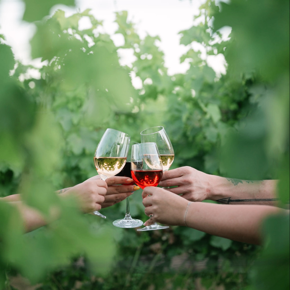 Event Photo: Handmade Pasta Workshop