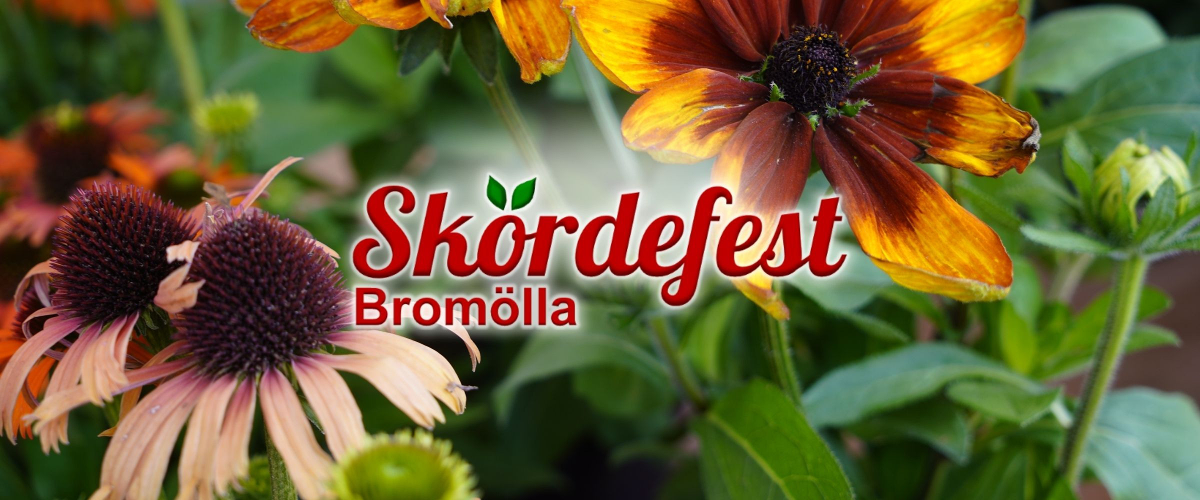 Evenemangs bild för evenemang Skördefest Bromölla 2026