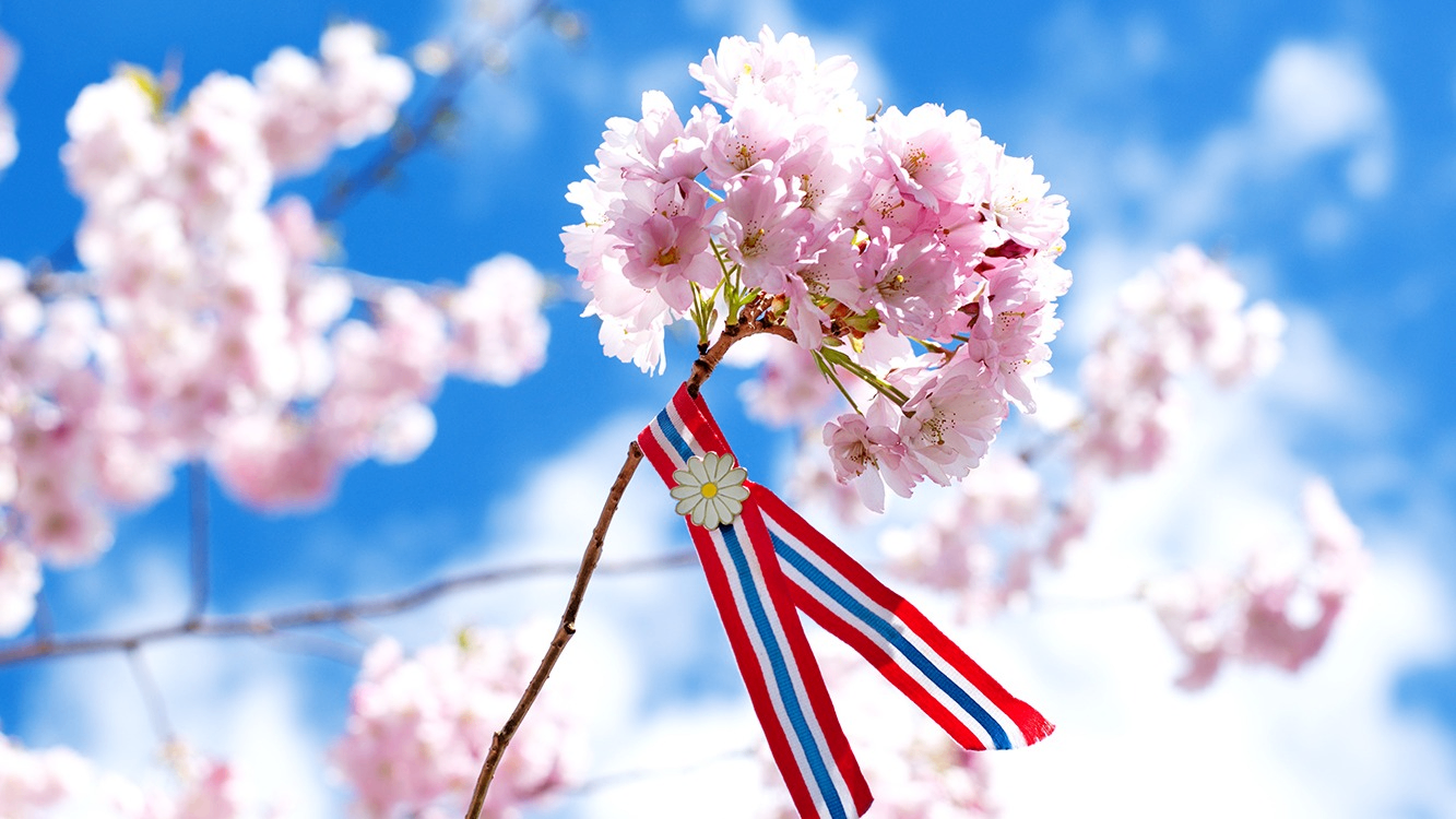 Norway's Constitution Day in Oslo: Official programme