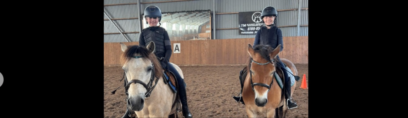 Evenemangs bild för evenemang Prova-på ridning Kristianstad Ridsällskap