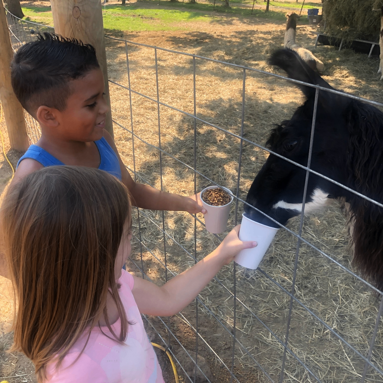 Event Photo: Frog Pond Farm Opening Weekend