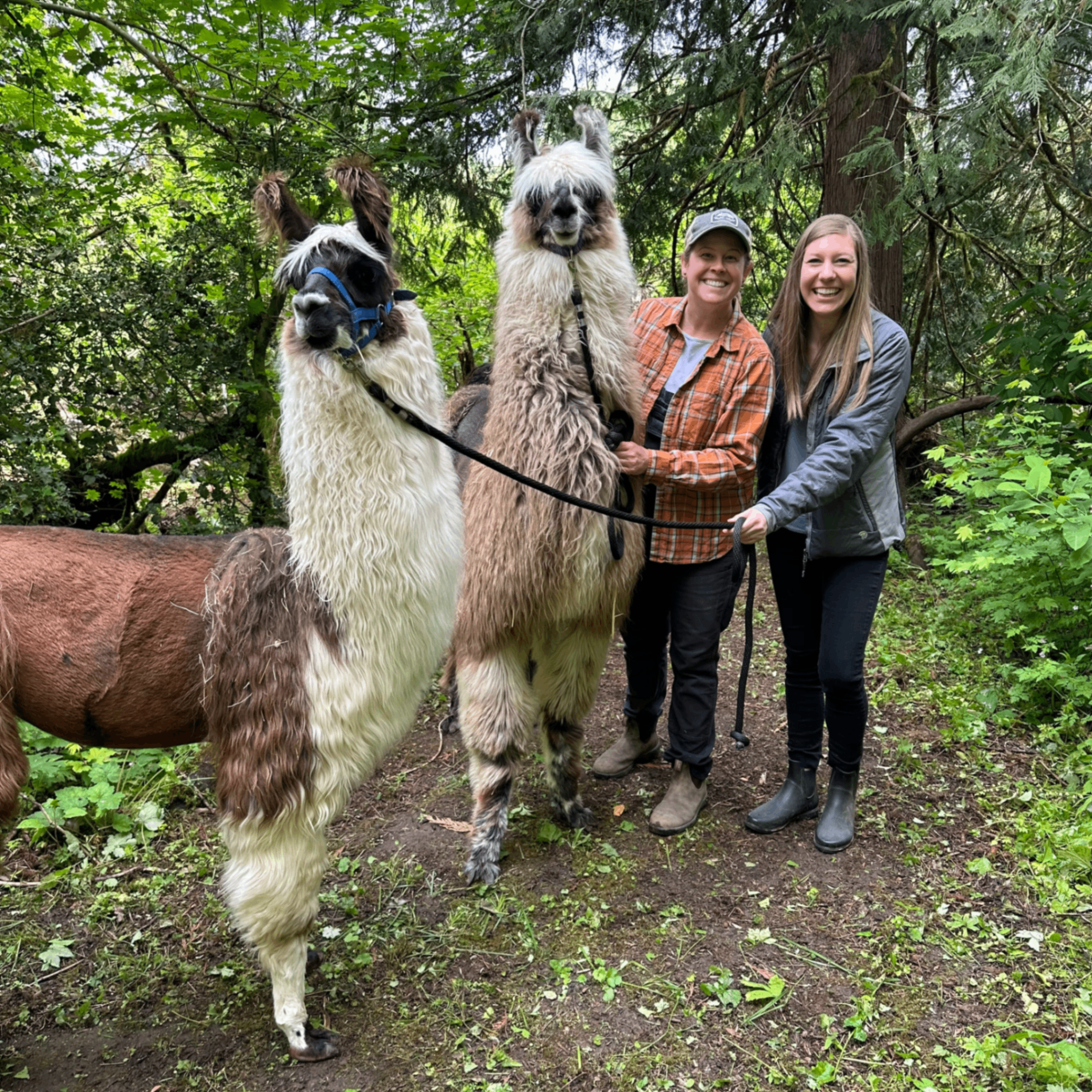 Event Photo: Frog Pond Farm Opening Weekend