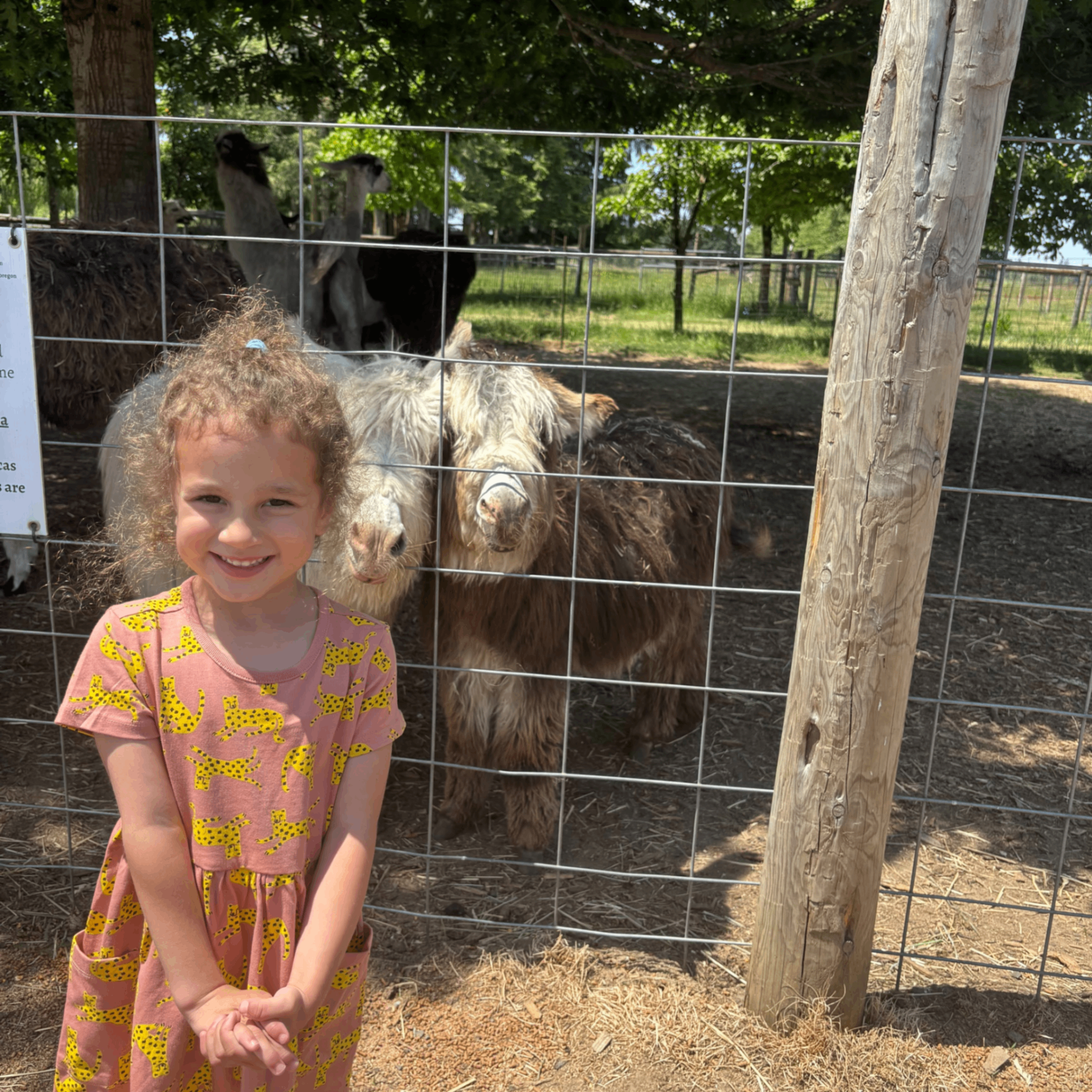 Event Photo: Frog Pond Farm Opening Weekend