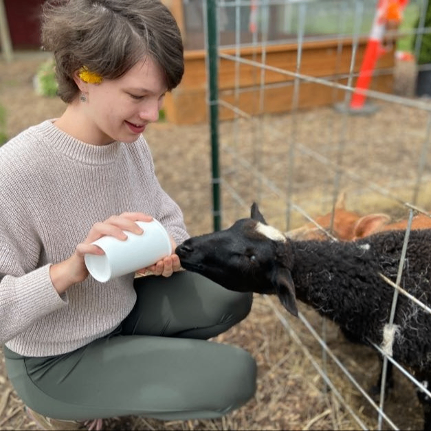 Young person with a flower in their hair feeding a black lamb.