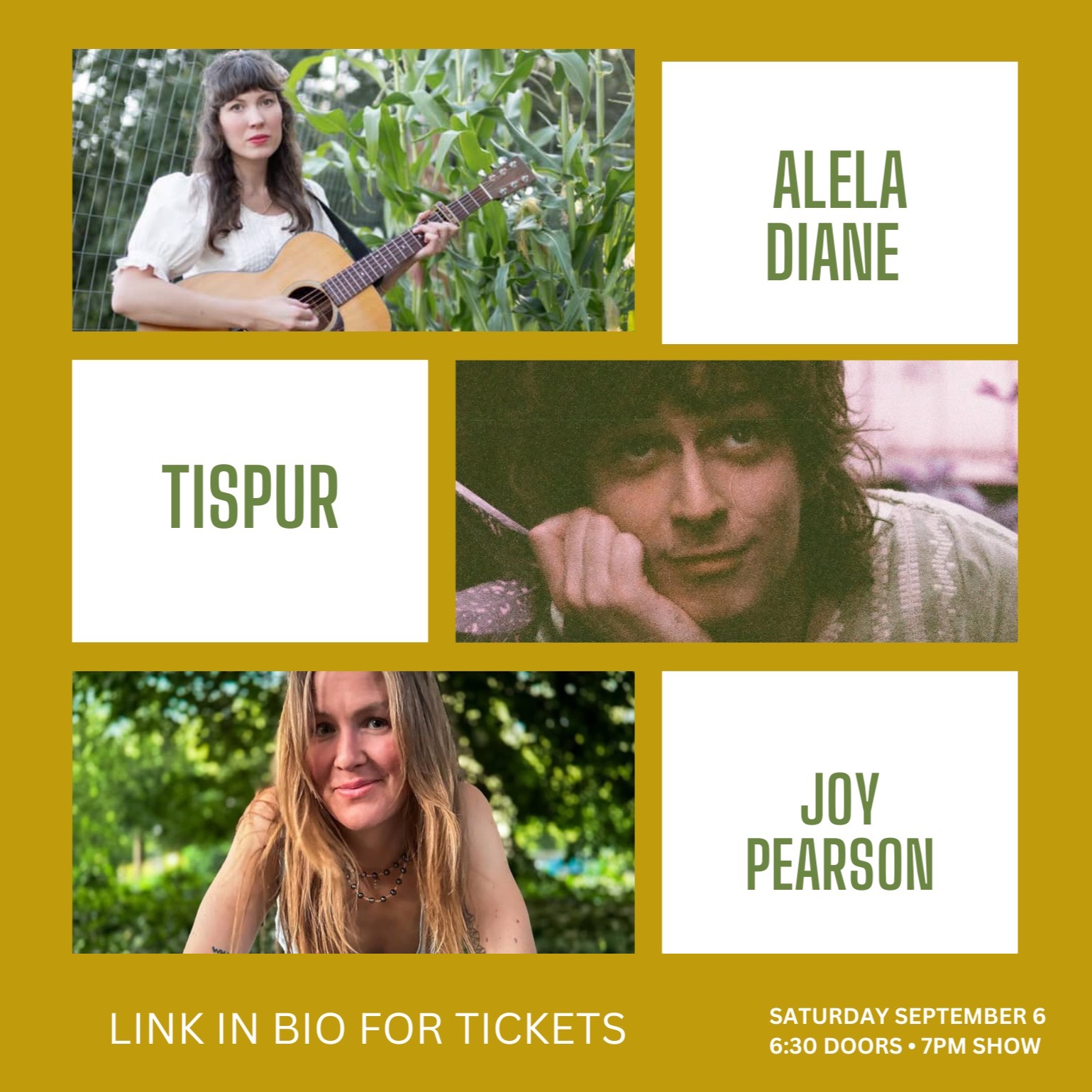 Event Photo: Golden Hour Farm Concert Featuring Alela Diane and Guests 