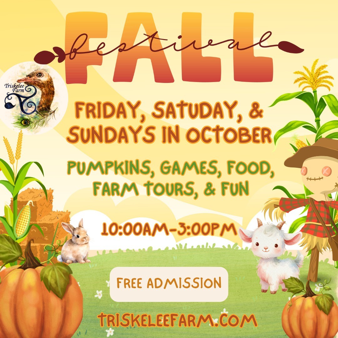 Event Photo: Triskelee Farm Fall Fest