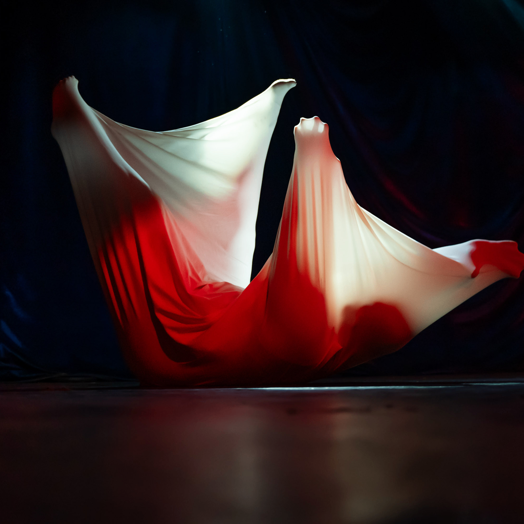 Event Photo: Nine Inch Heels: Nine Inch Nails Cabaret Tribute Show