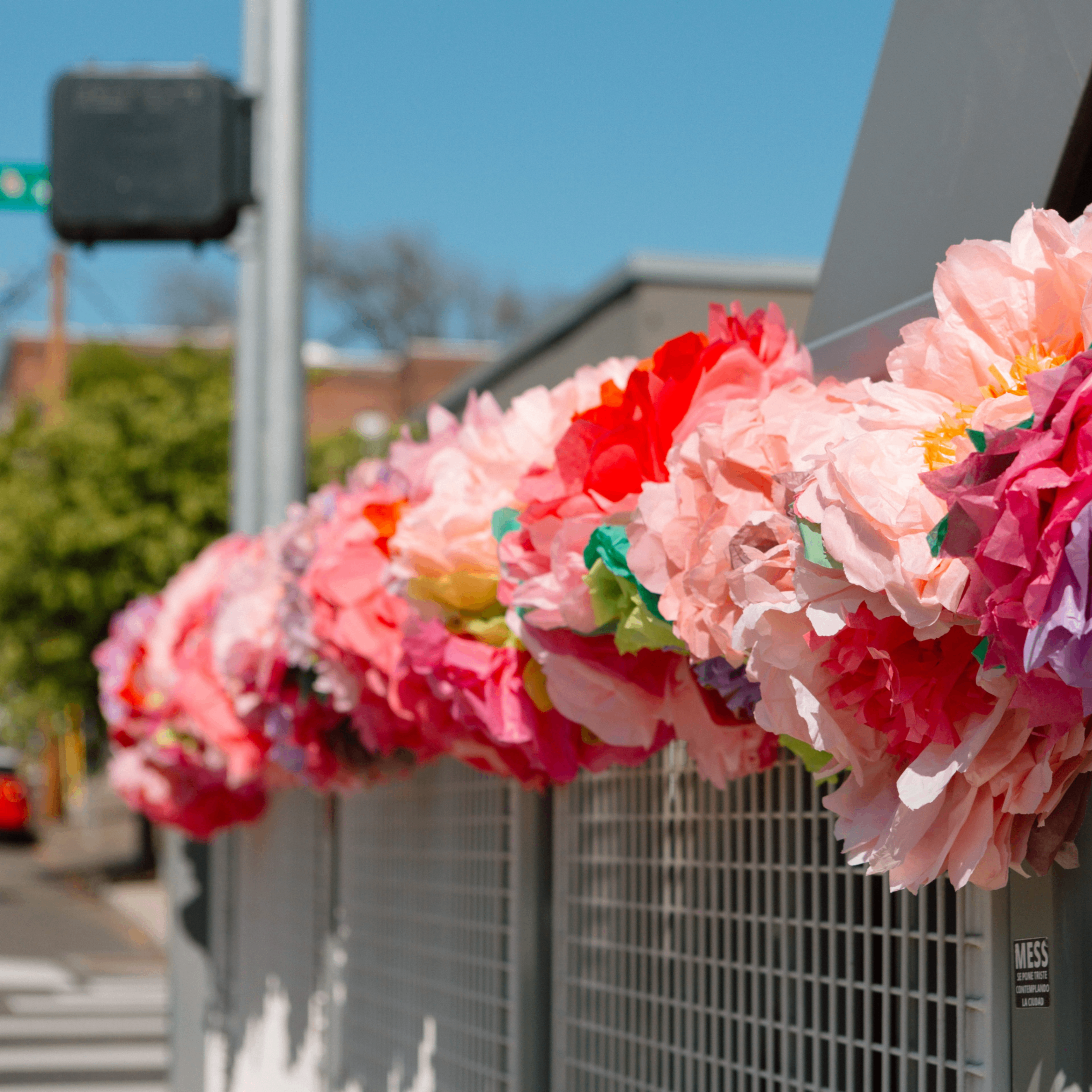 Event Photo: Reigning Roses Walk