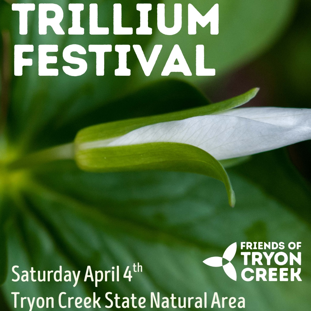 Event Photo: Trillium Festival 