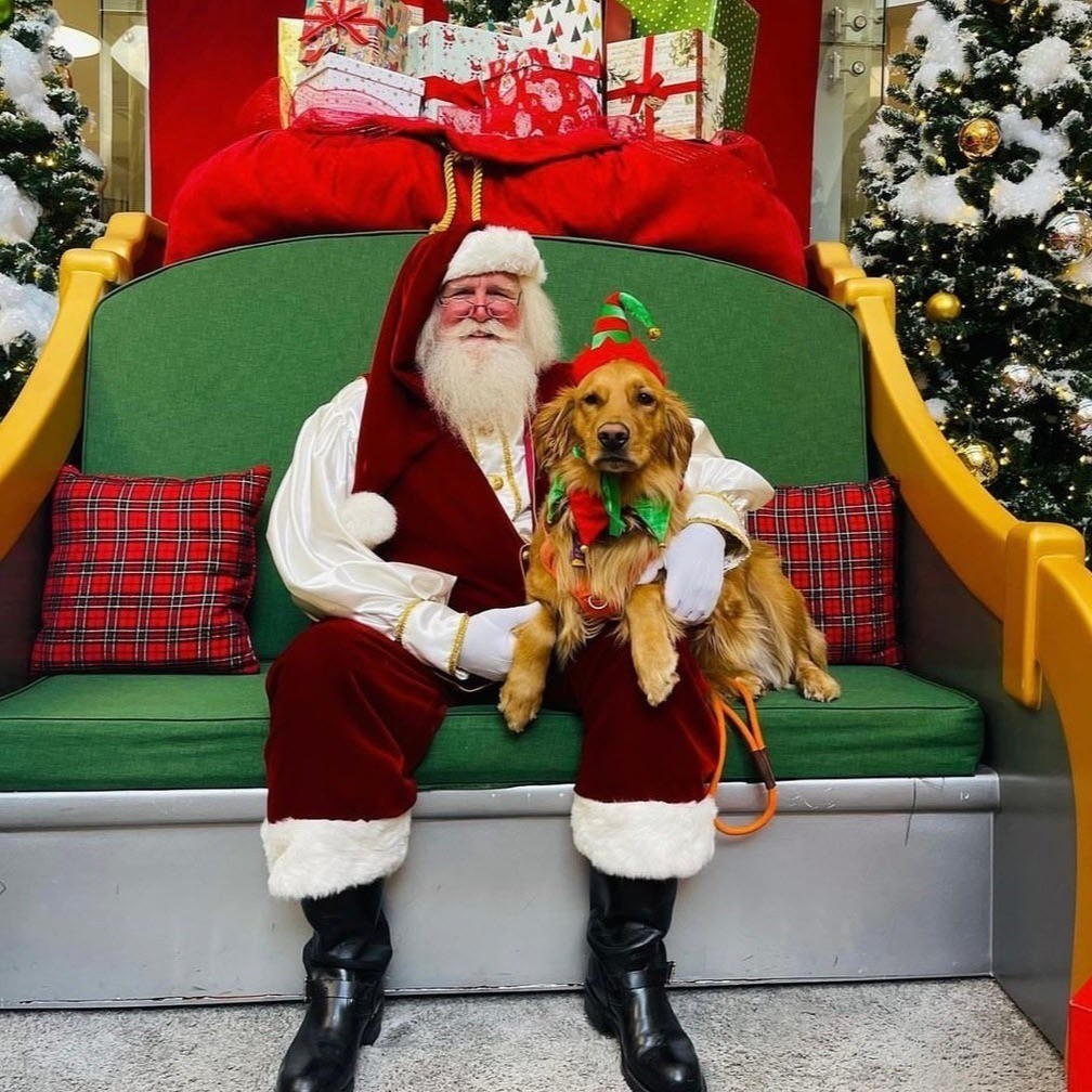 santa with a dog
