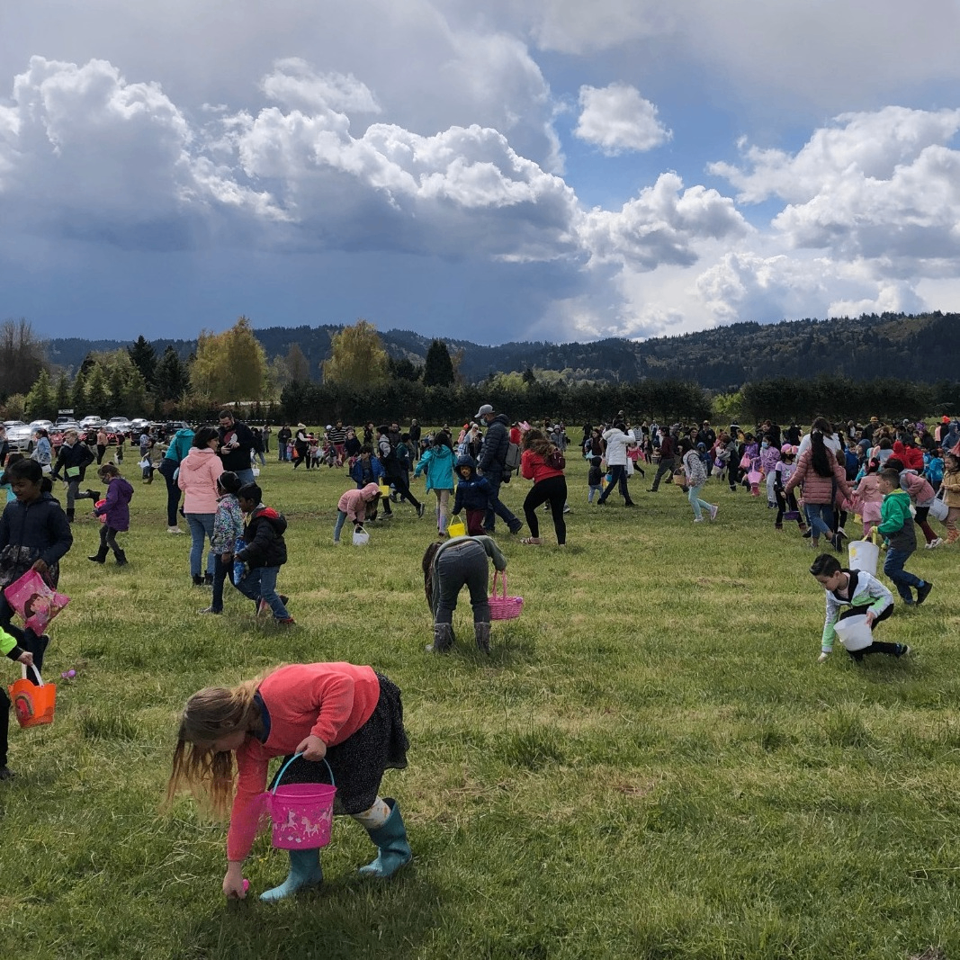 a large crowd of people searching for Easter eggs