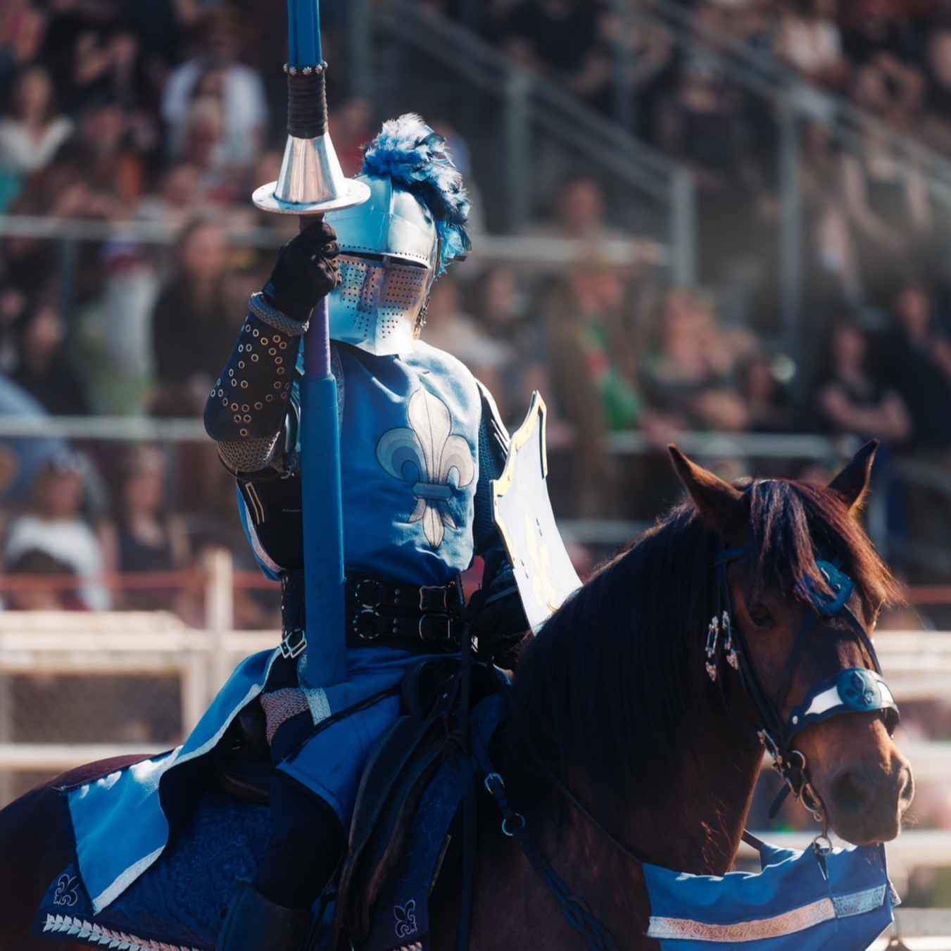 a knight in armor on a horse