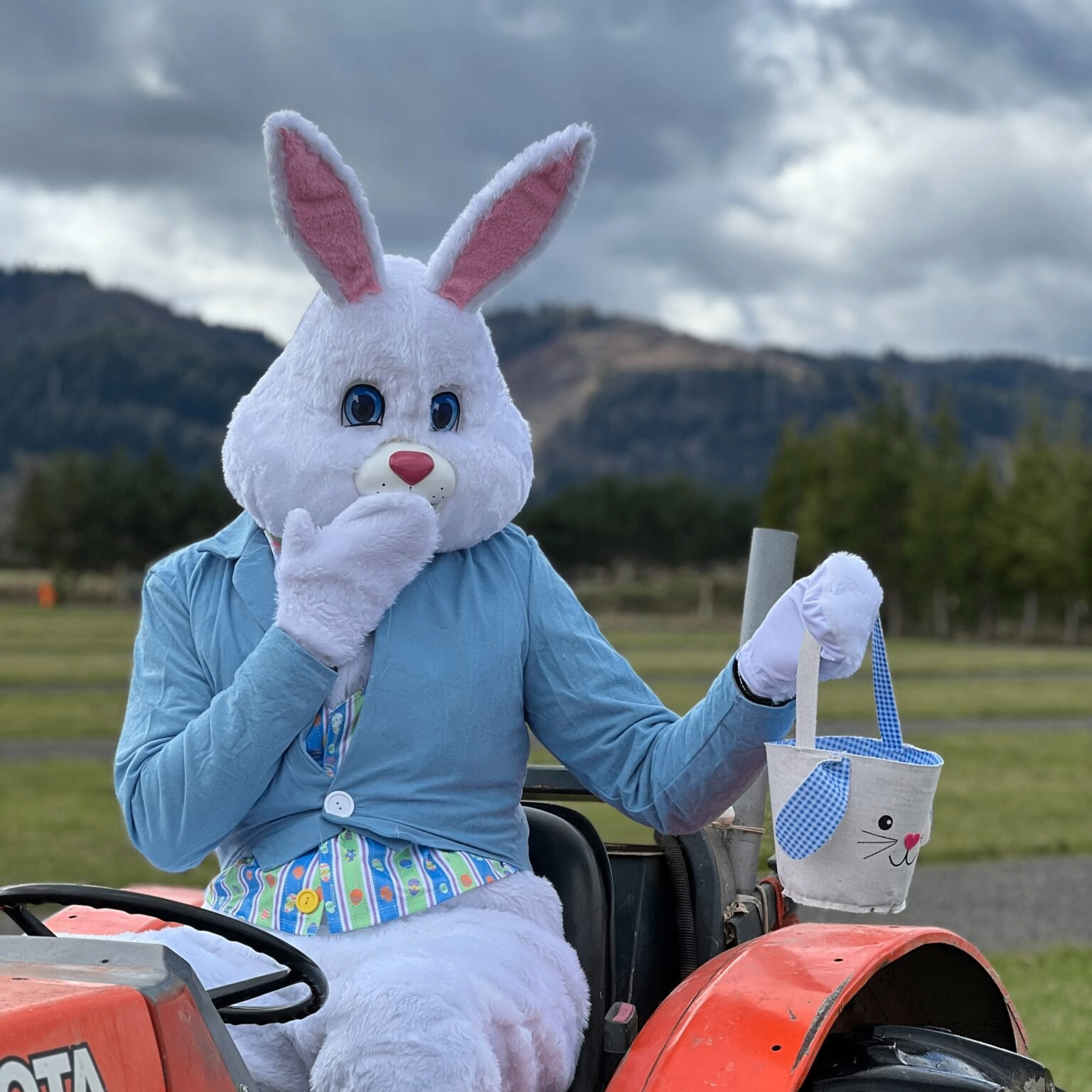 easter bunny sitting on a tractor