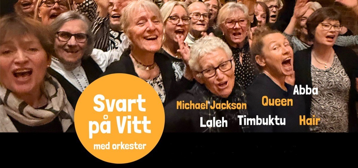 Bild till evenamnget Vårkonsert med kören Svart på Vitt